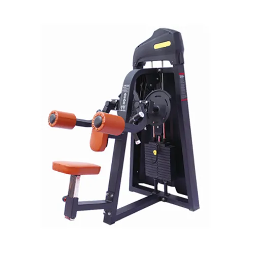TM205 Selectorized Lateral Raise