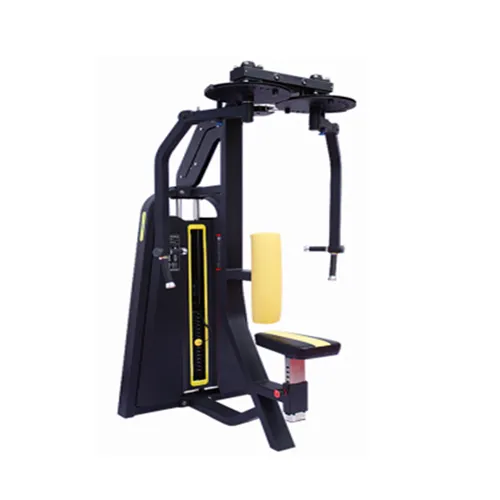 TM207 Selectorized Rear Deltoid
